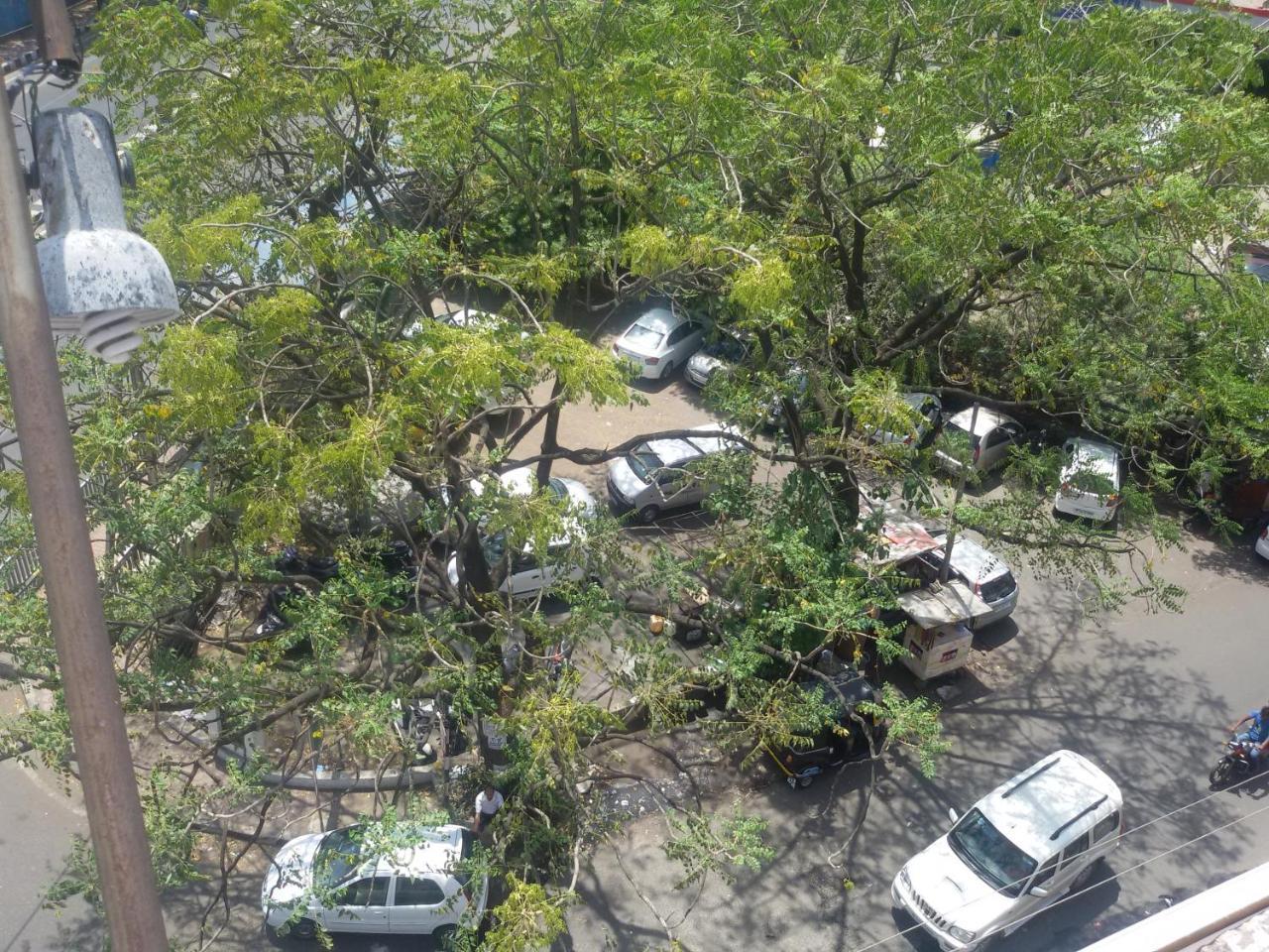Hotel Tapti Saral Bhopal Exterior photo